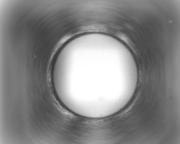 X0000066491074200603170918