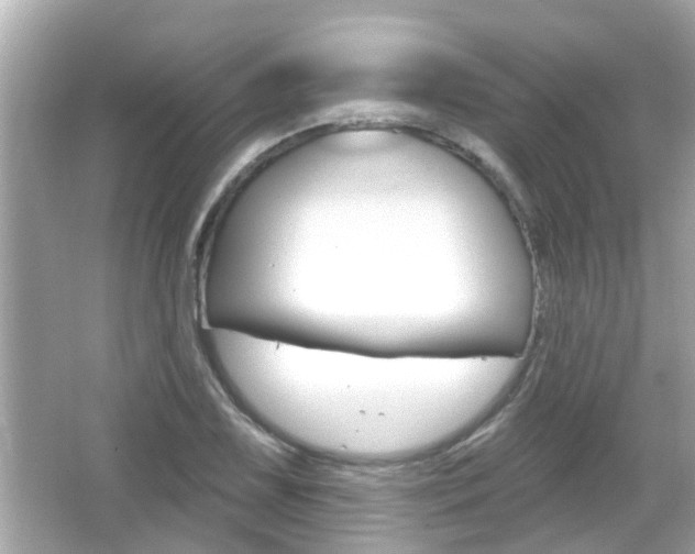 X0000066491075200603170918