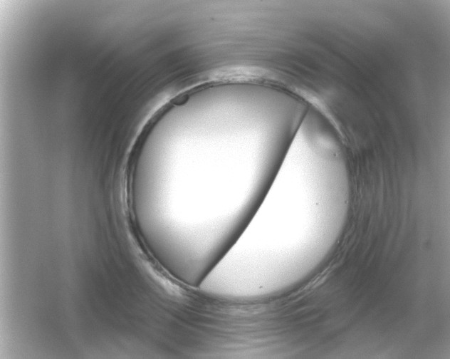 X0000066491083200603170918