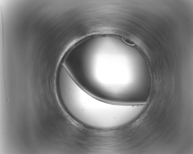 X0000066491085200603170918