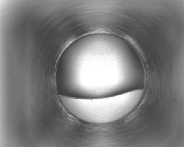 X0000066491097200603170917