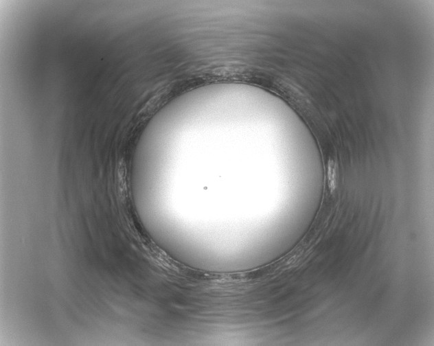 X0000066491107200603170917