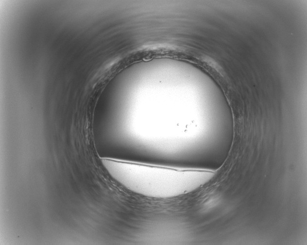 X0000066491111200603170917