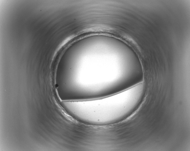 X0000066491114200603170917