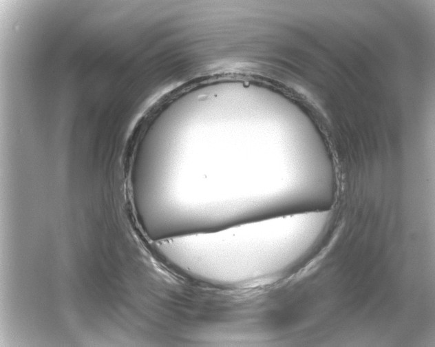 X0000066491117200603170917