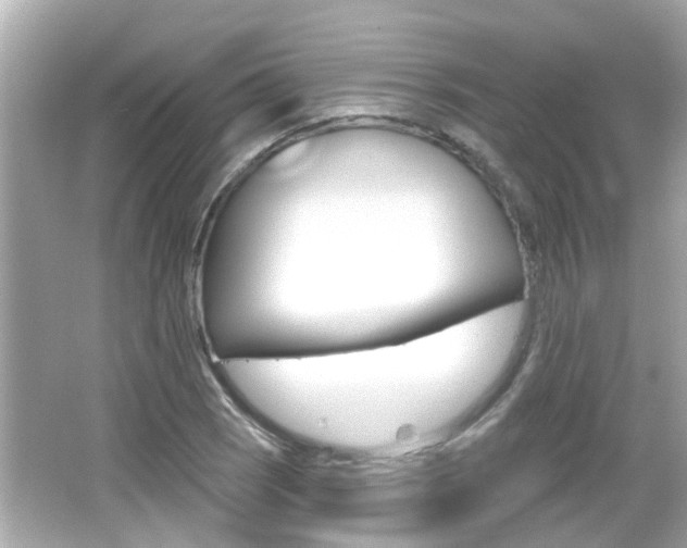 X0000066491121200603170917