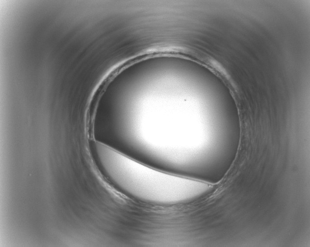 X0000066491124200603170917