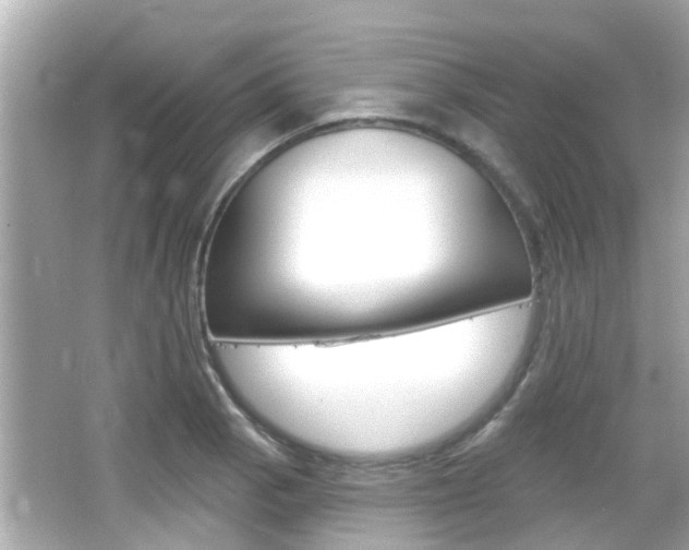 X0000066491129200603170917