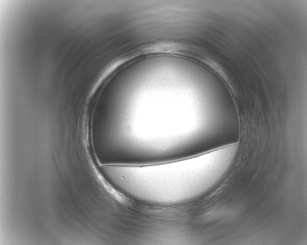 X0000066491131200603170917