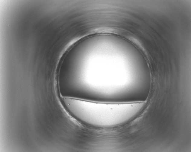 X0000066491133200603170917