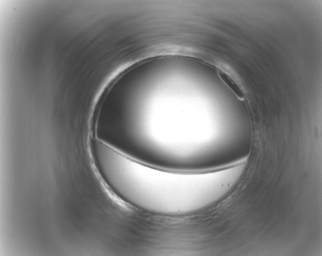 X0000066491136200603170917
