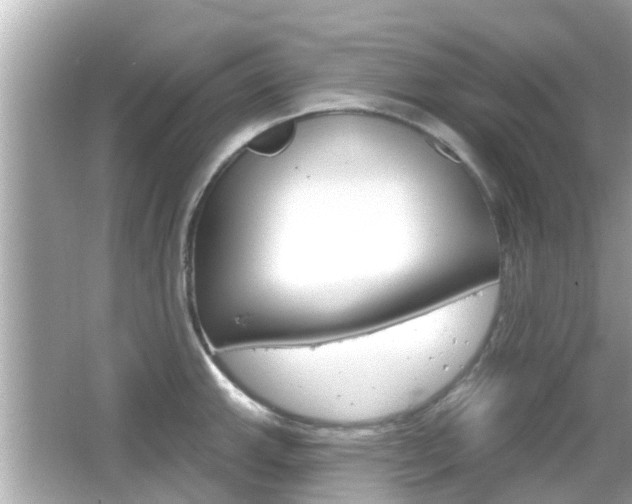 X0000066491143200603170917