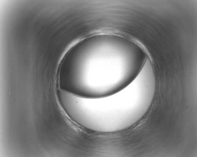 X0000066491146200603170917
