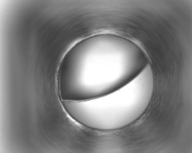 X0000066491151200603170917