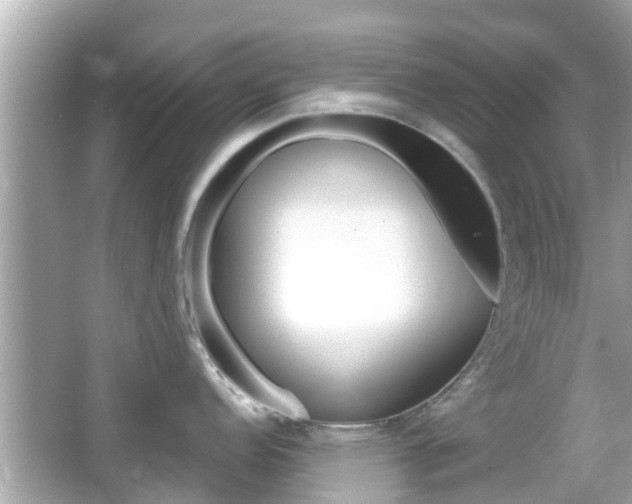 X0000066491152200603170917