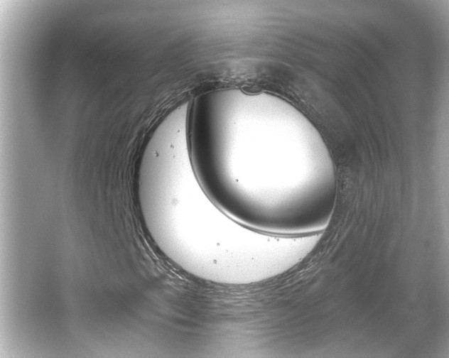 X0000066491153200603170916