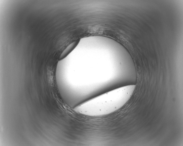 X0000066491154200603170916
