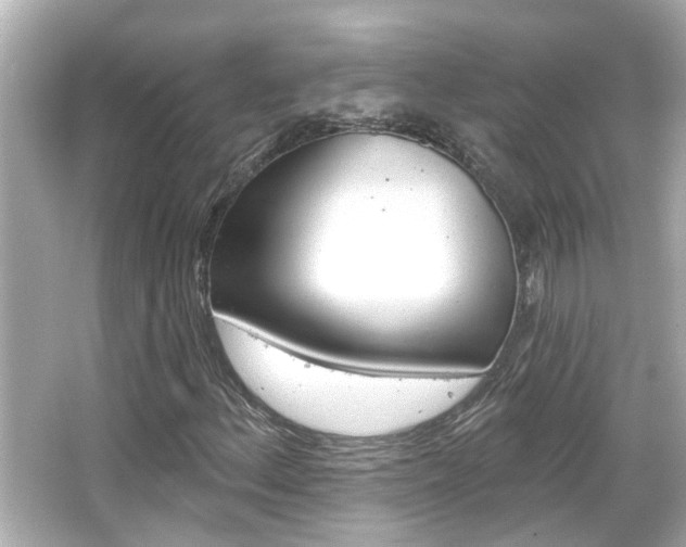 X0000066491156200603170916
