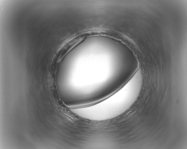 X0000066491160200603170916