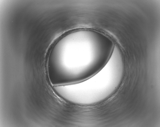 X0000066491168200603170916