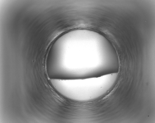 X0000066491170200603170916