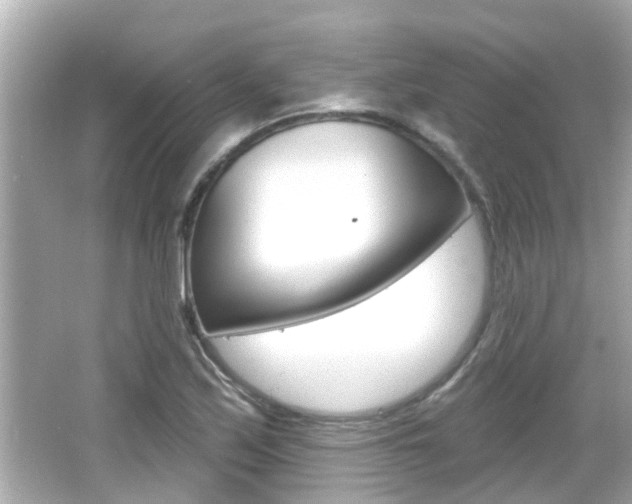 X0000066491171200603170916
