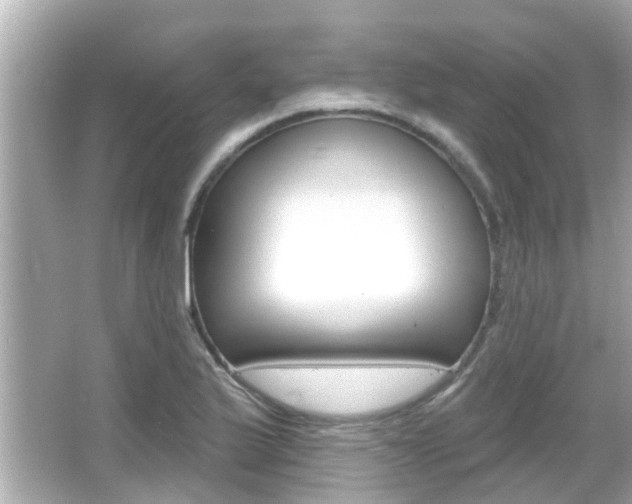 X0000066491175200603170916