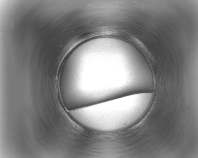 X0000066491178200603170916