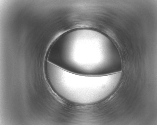 X0000066491179200603170916
