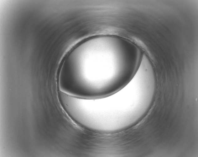 X0000066491184200603170916