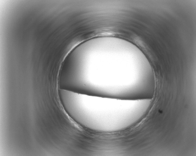 X0000066491194200603170916