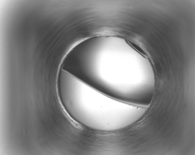X0000066491195200603170916