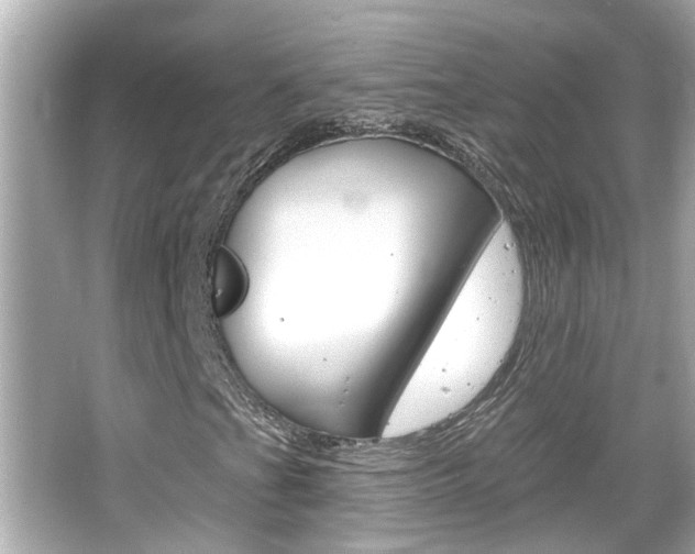 X0000066491201200603170915