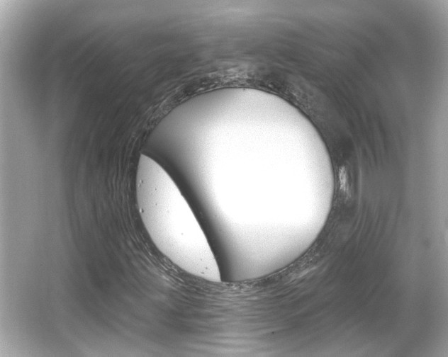 X0000066491203200603170915