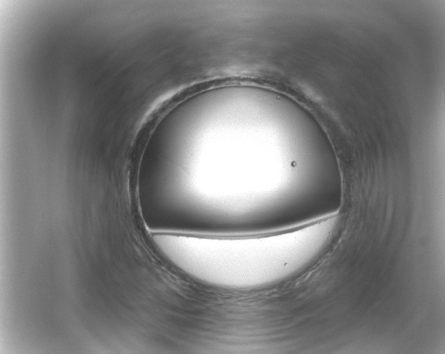 X0000066491214200603170915