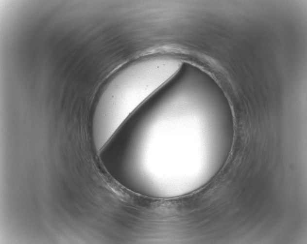 X0000066491217200603170915