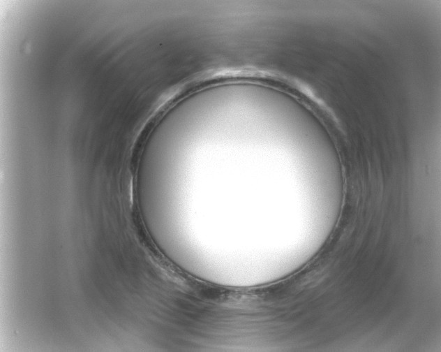 X0000066491221200603170915