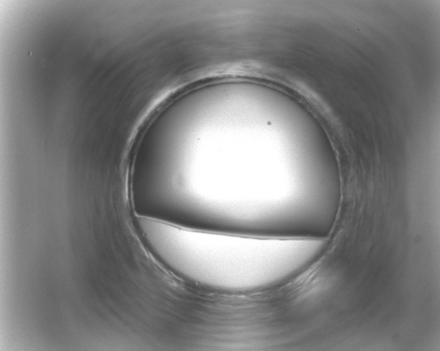 X0000066491224200603170915