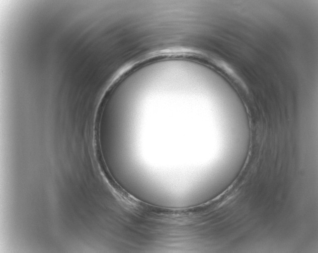 X0000066491229200603170915