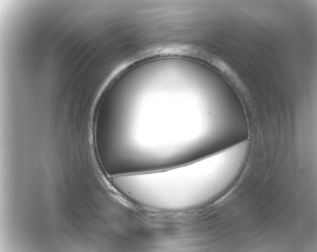 X0000066491232200603170915