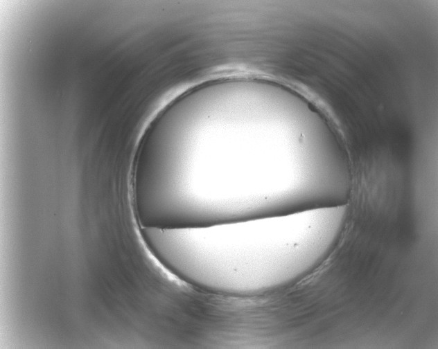 X0000066491239200603170916
