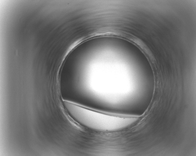 X0000066491242200603170916