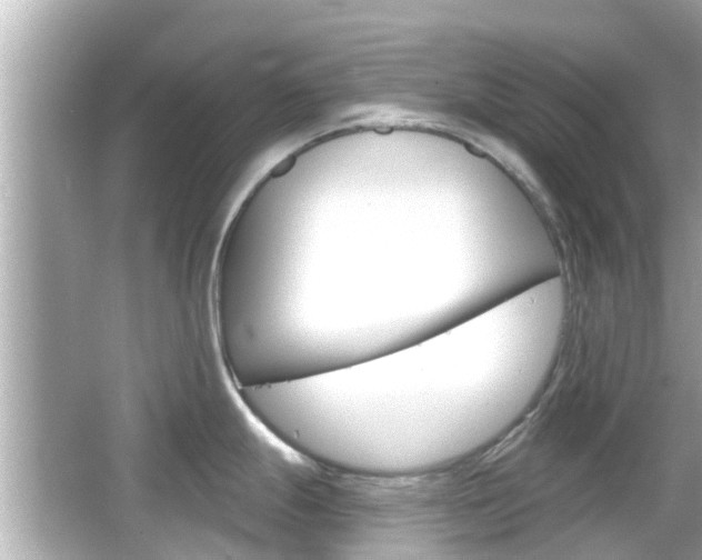 X0000066491247200603170916