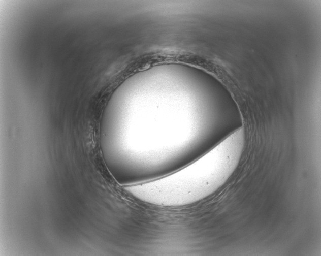 X0000066491253200603170915