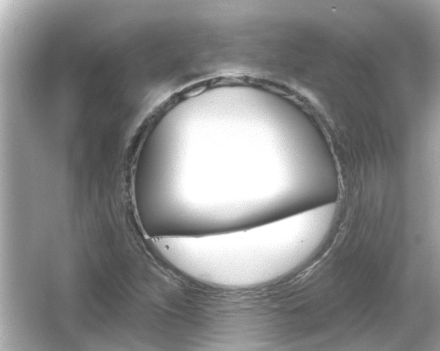 X0000066491263200603170915