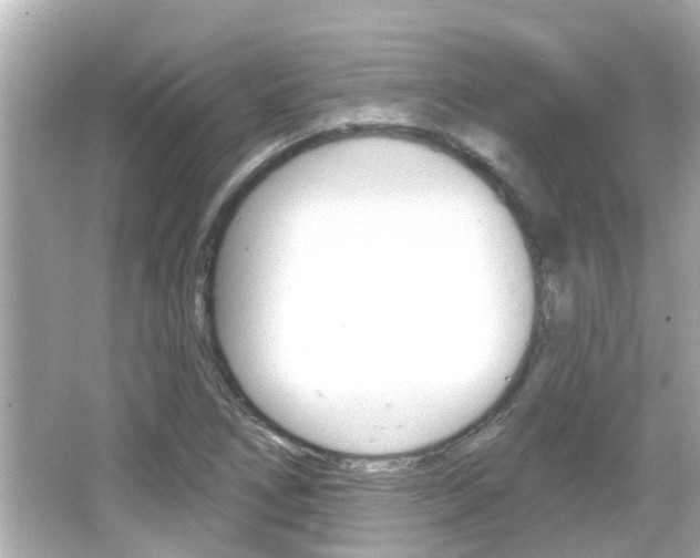 X0000066491266200603170915