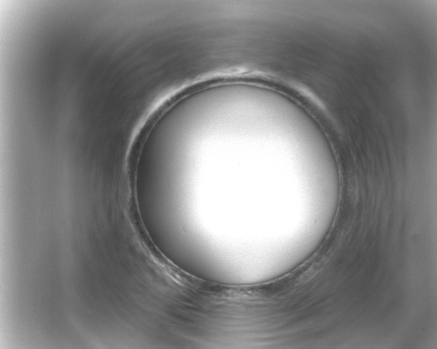 X0000066491270200603170915