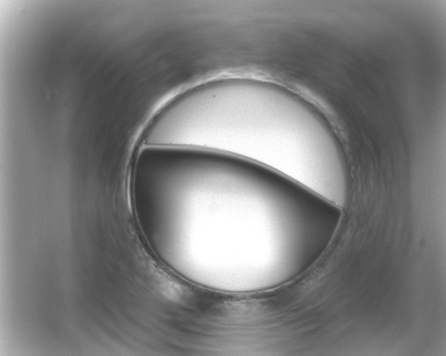 X0000066491272200603170914