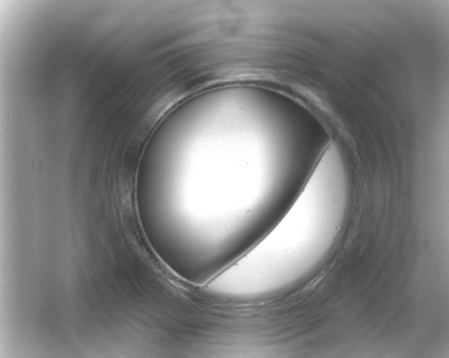 X0000066491273200603170914