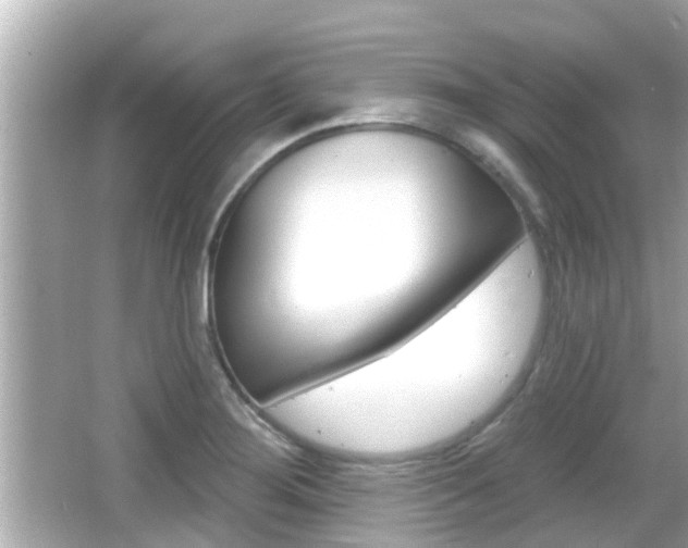 X0000066491276200603170914